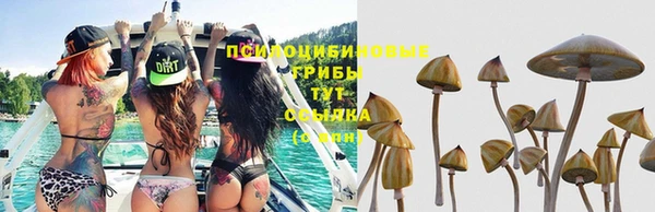 mix Верея