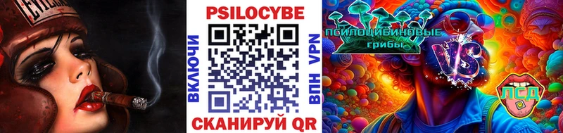 Псилоцибиновые грибы GOLDEN TEACHER где купить наркоту Вышний Волочёк