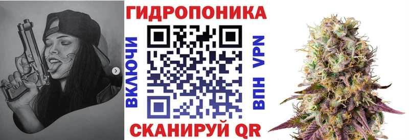 Канабис сатива Вышний Волочёк