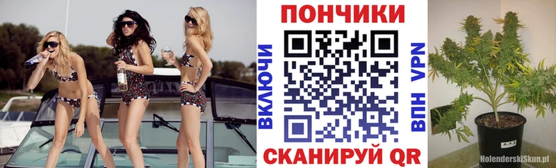 купить наркоту  нарко площадка клад  OMG   Марихуана Amnesia  Вышний Волочёк 